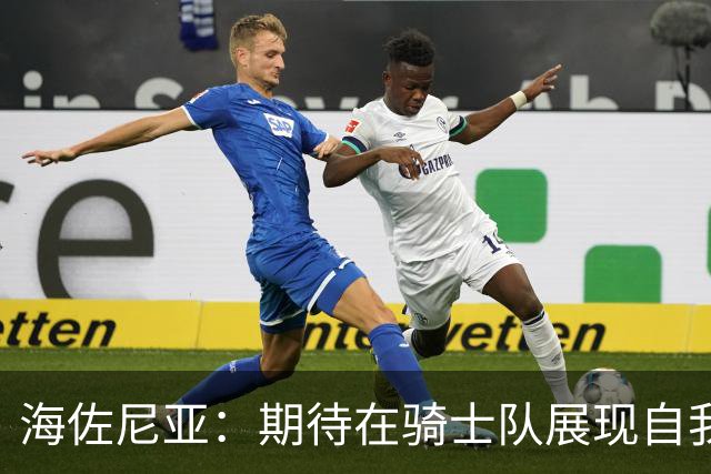 海佐尼亚：期待在骑士队展现自我，哈登依旧是个传奇